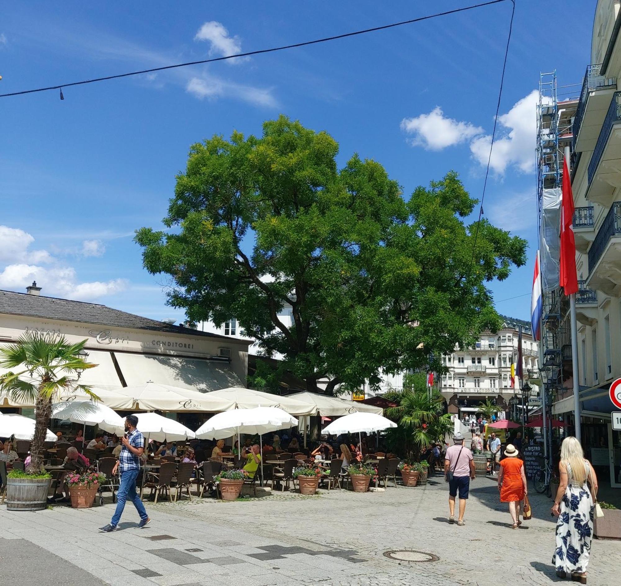 Gemuetliches J&L Apartment Nahe Des Hauptbahnhofes Baden-Baden Esterno foto