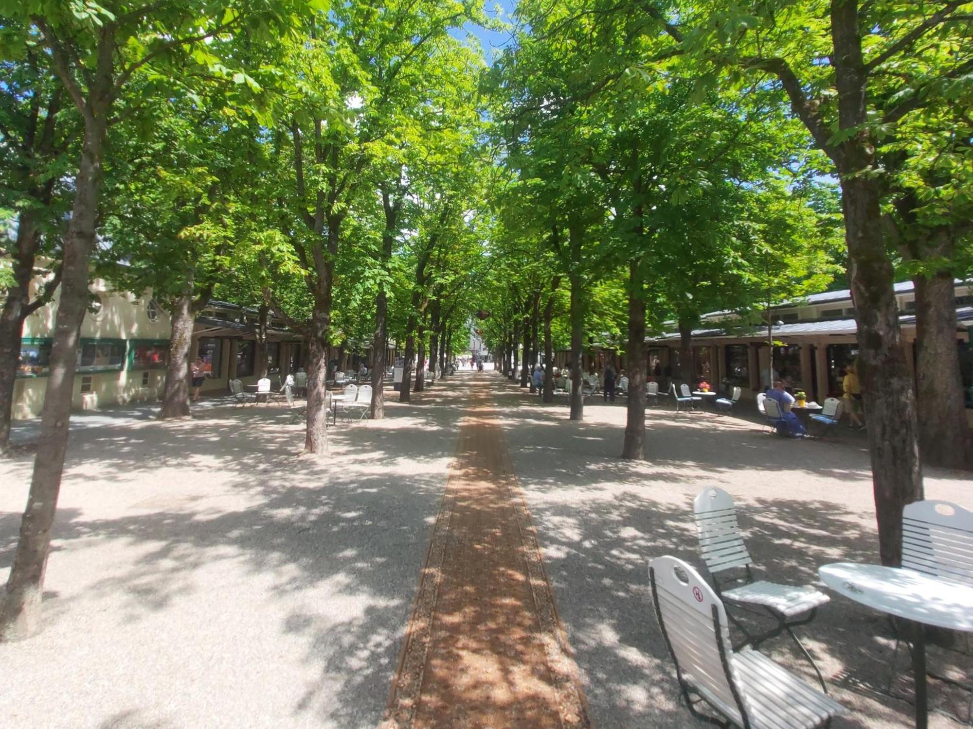 Gemuetliches J&L Apartment Nahe Des Hauptbahnhofes Baden-Baden Esterno foto